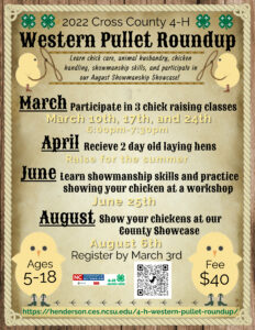 4-H Western Pullet Roundup flyer