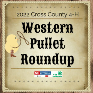 Western Pullet Roundup