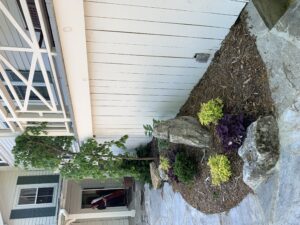 A small tree and rock in a garden beside a house's porch. 