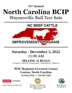 Cover photo for Waynesville Bull Test Sale 2022