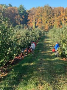 Students in an orchard.