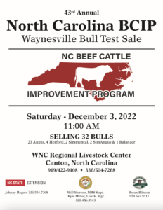 North Carolina BCIP