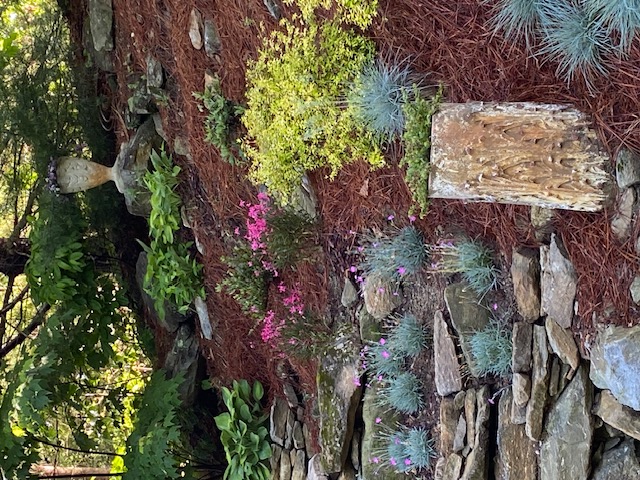 landscaping a hillside