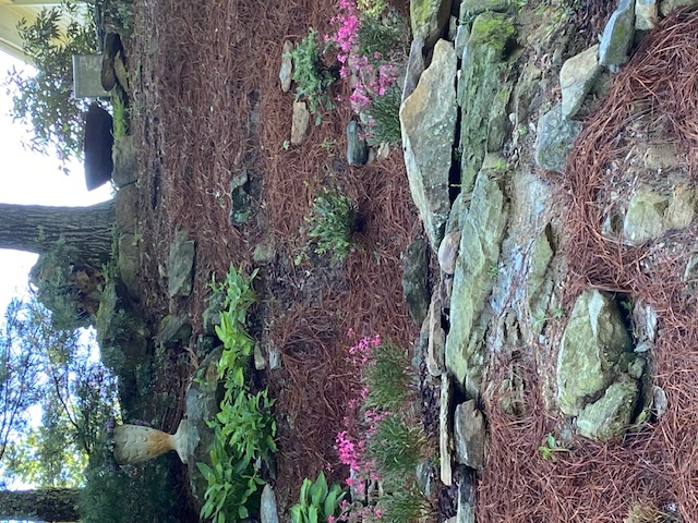 landscaping a hillside