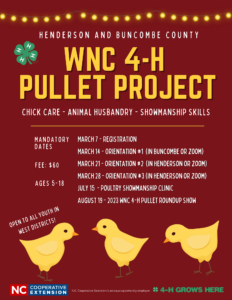 Cover photo for WNC 4-H Pullet Project