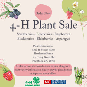 Cover photo for Support Our Annual 4-H Plant Sale!