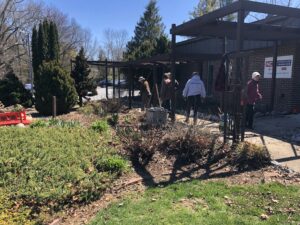Henderson County Extension Master Gardeners Volunteers clean up the Extension Teaching Garden in late March 2023