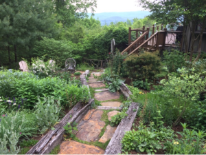 mountain garden path
