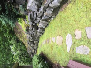 stone path and moss