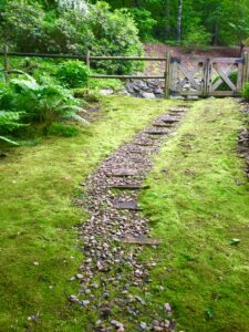moss and path