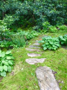 mossy path