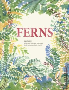 Ferns