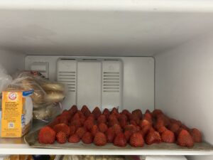 strawberries on a tray in the freezer