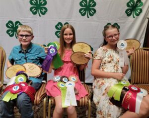 Three youth 4 H participants hold their medals and ribbons.