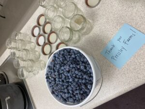 Thank you to Pressley Farms for these blueberries!