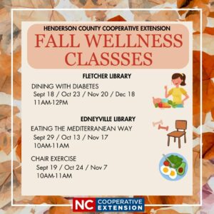 Cover photo for Fall Wellness Classes at the Public Library