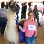 child showing a llama