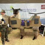 llama in helicopter costume