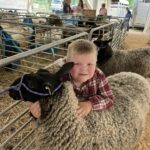 child with sheep