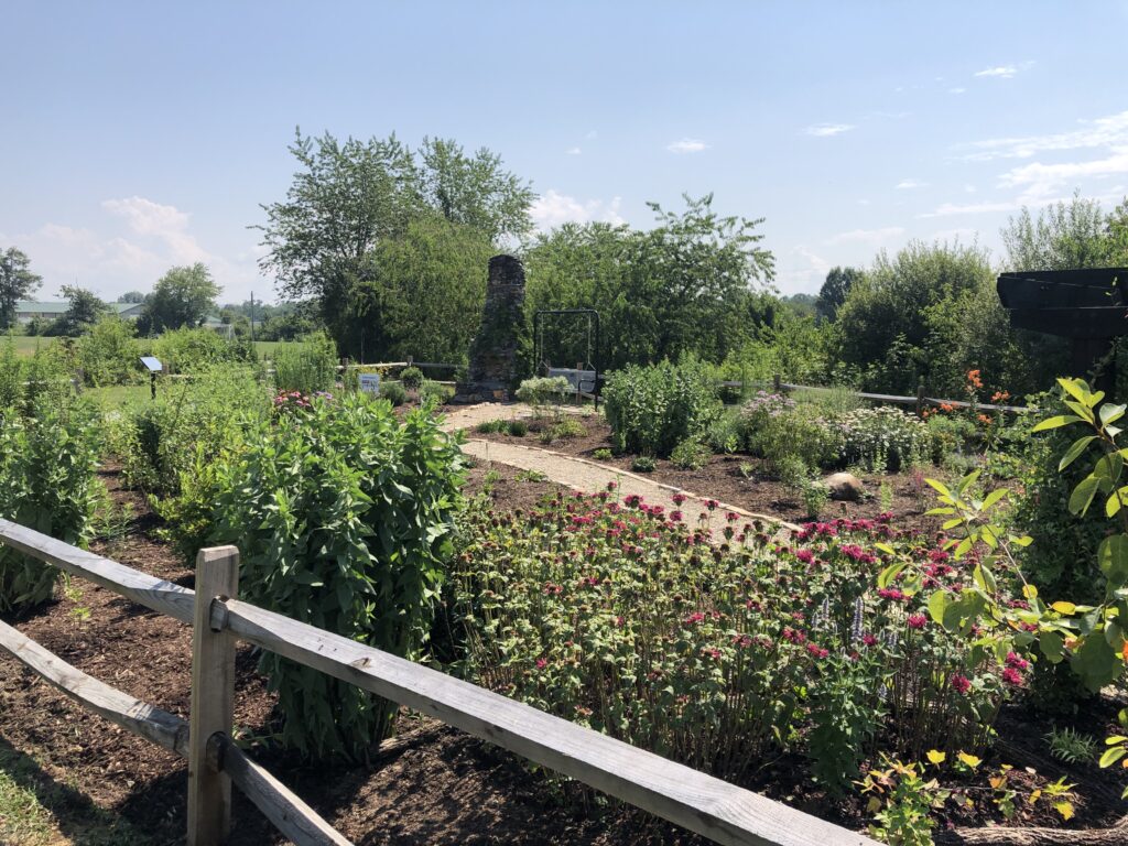 Mills River Pollinator Garden 2025