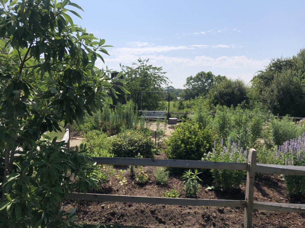 Mills River Pollinator Garden 2025