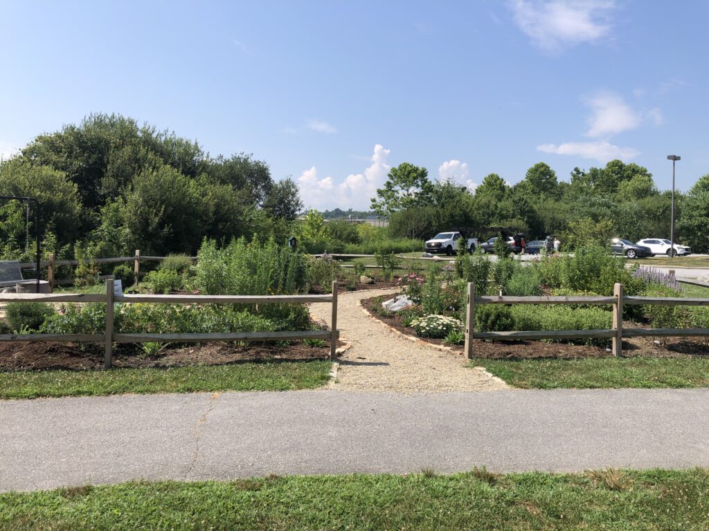 Mills River Pollinator Garden 2025