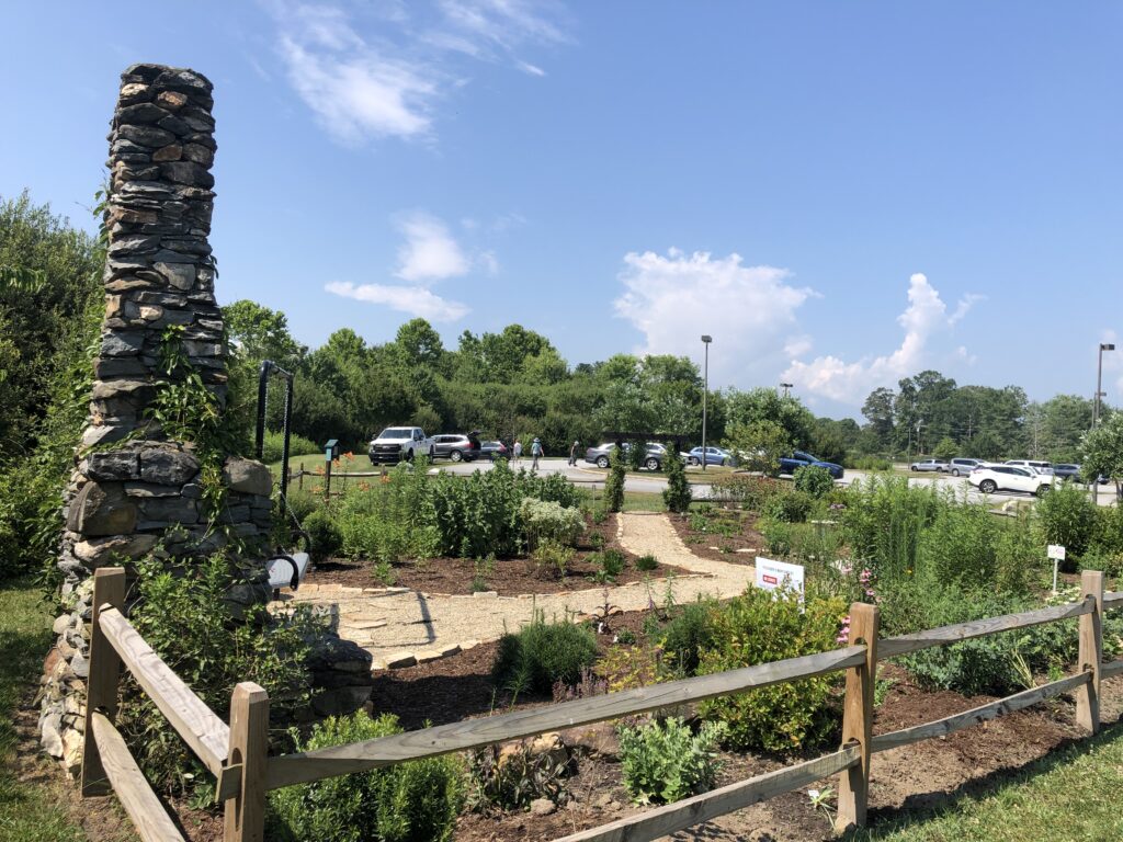Mills River Pollinator Garden 2025