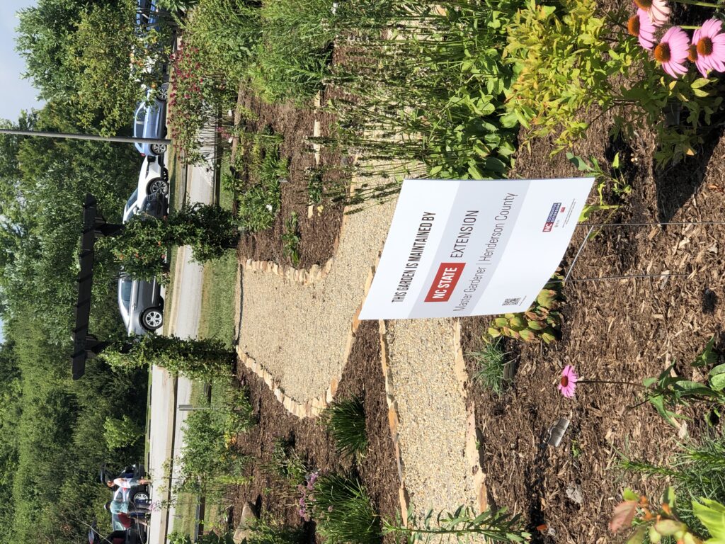 Mills River Pollinator Garden 2025