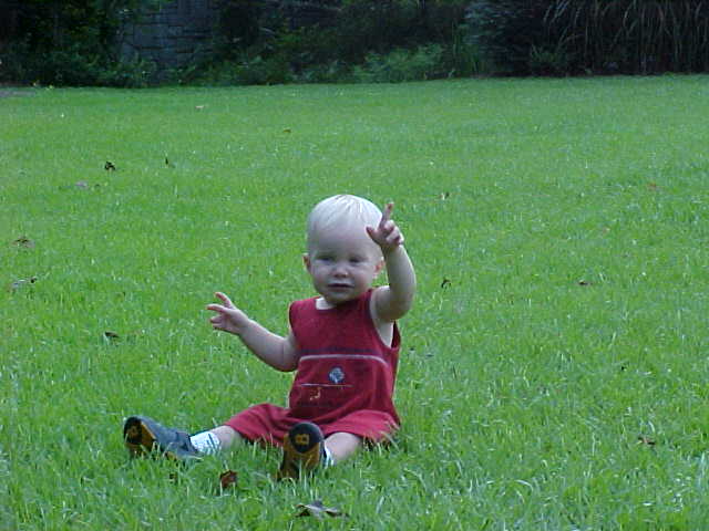 child in lawn