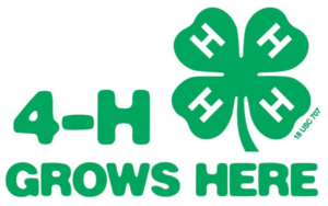 Cover photo for History of the 4-H Clover