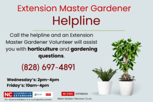 Cover photo for Master Gardener Info-Line in Henderson County