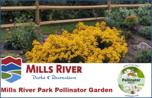 Cover photo for Mills River Park Pollinator Garden