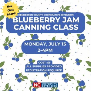 2024 Blueberry Jam Canning Class