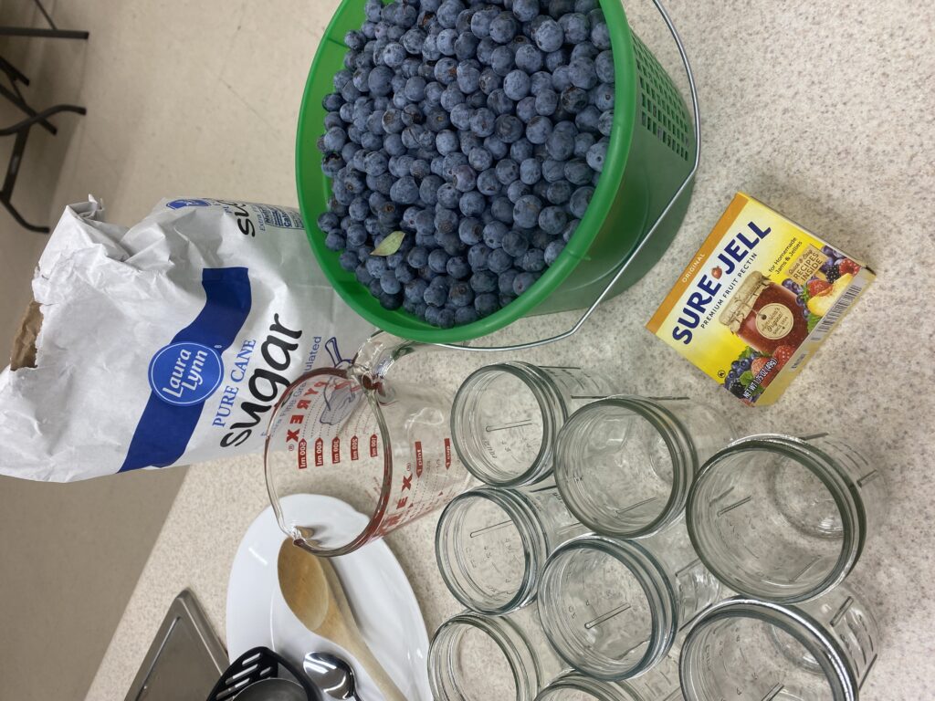 blueberry jam 