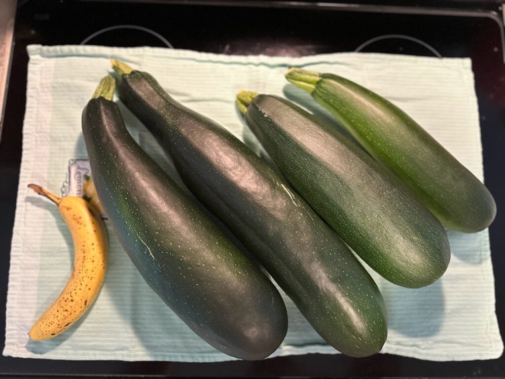 Large zucchini beside a banana for scale. 