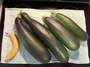 Cover photo for From Garden to Table: Creative Uses for an Abundance of Zucchini