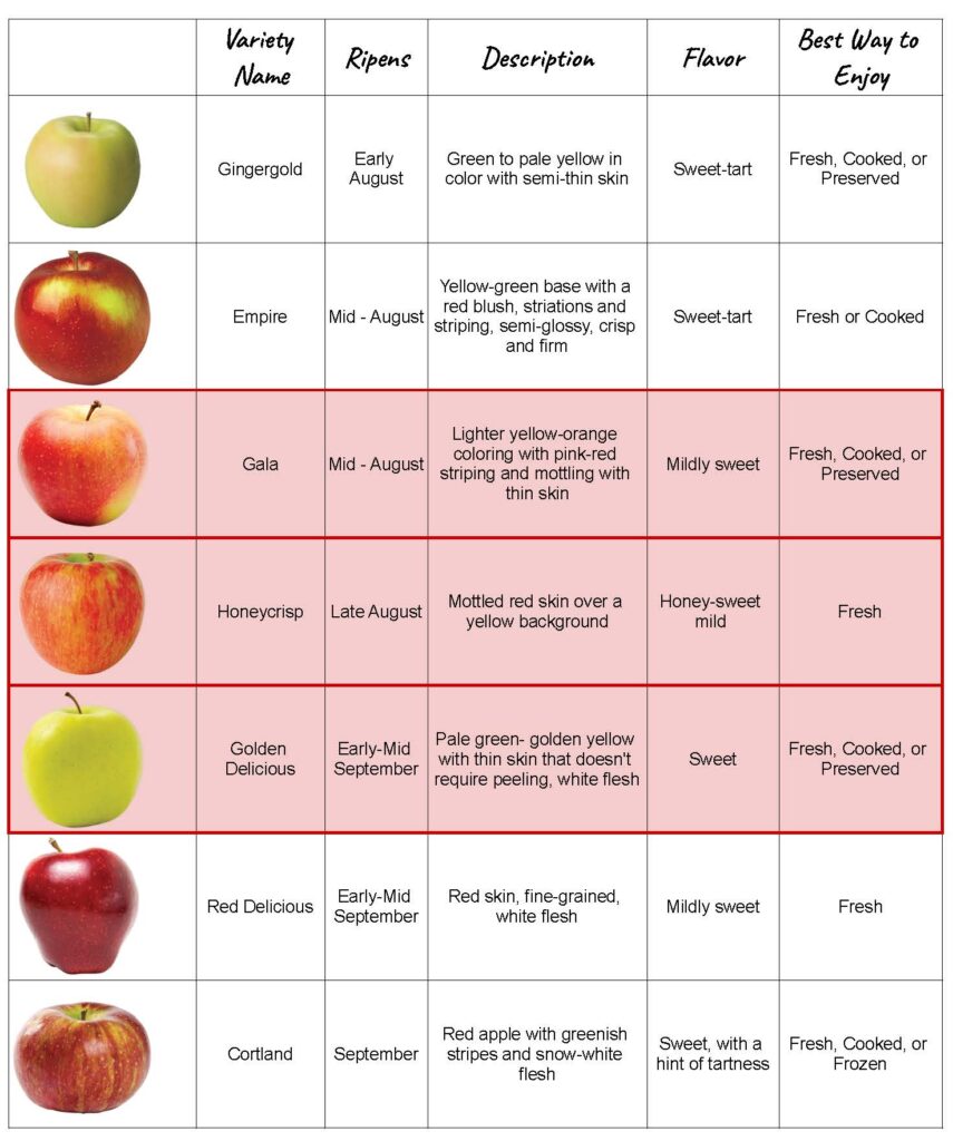 Apple Variety Chart.