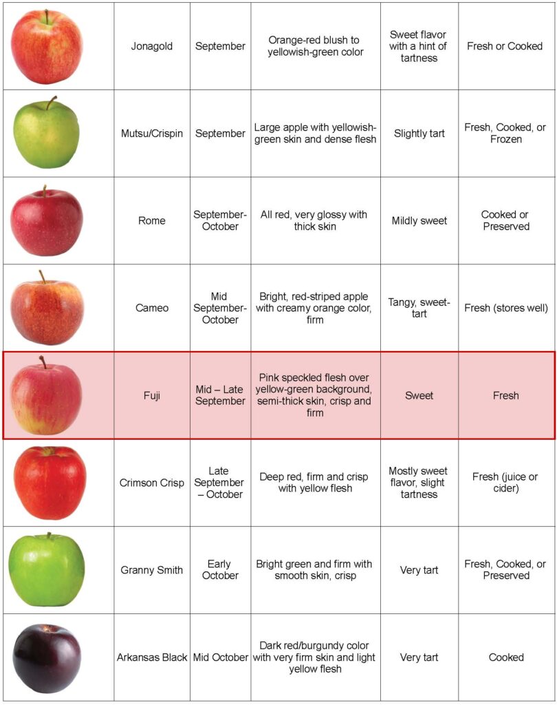 Apple variety Chart