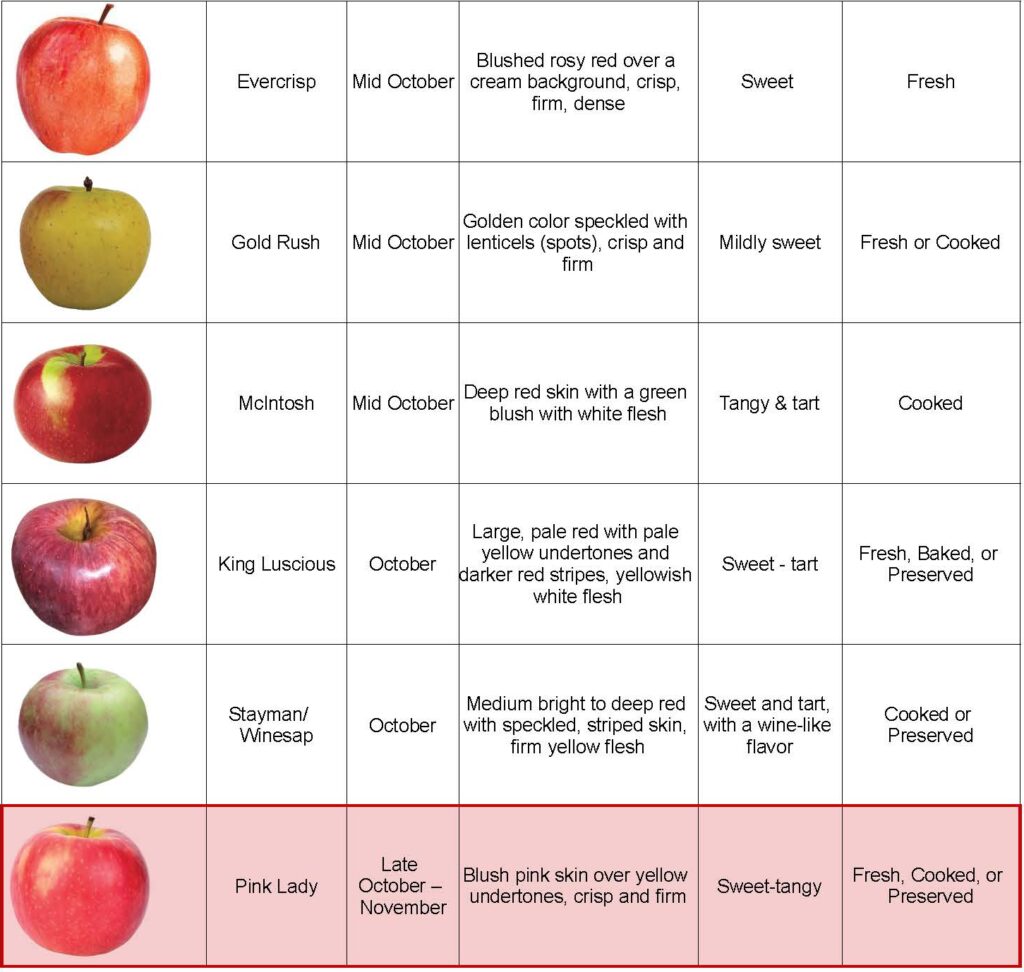 Apple Variety Chart