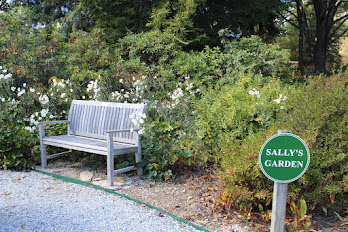 A bench in a garden with a sign that says "Sally's Garden"