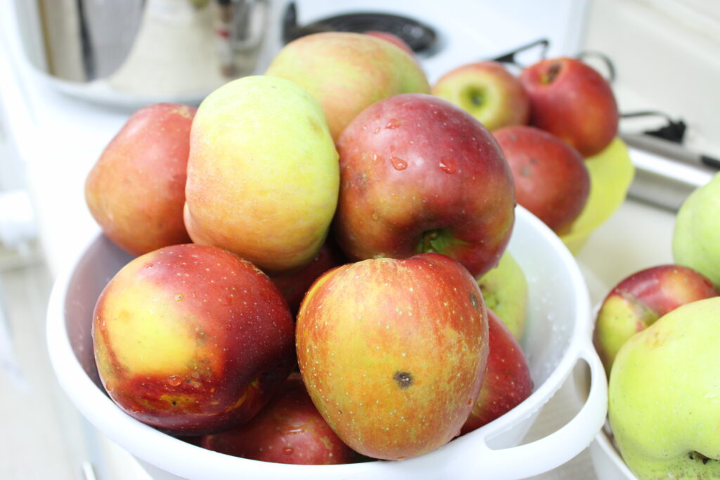 Apples piled in a bowl.