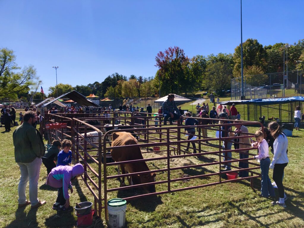 Farm City Day petting zoo