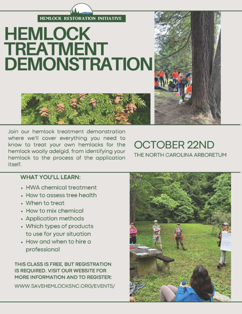 hemlock demo flyer