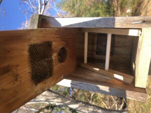 convert bluebird boxes into roosting boxes