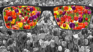 Discover a training, Marketing and Communications Essentials for New Extension Experts, for Extension employees in North Carolina.