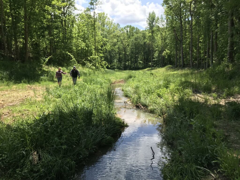 stream restoration