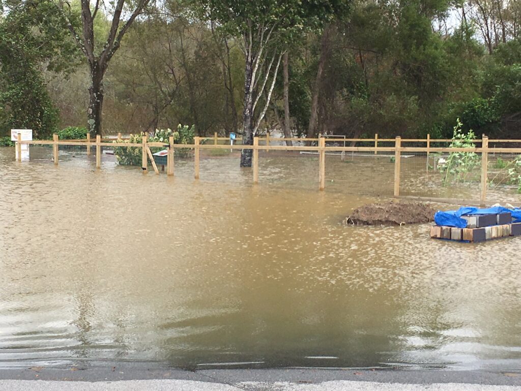 community garden under water