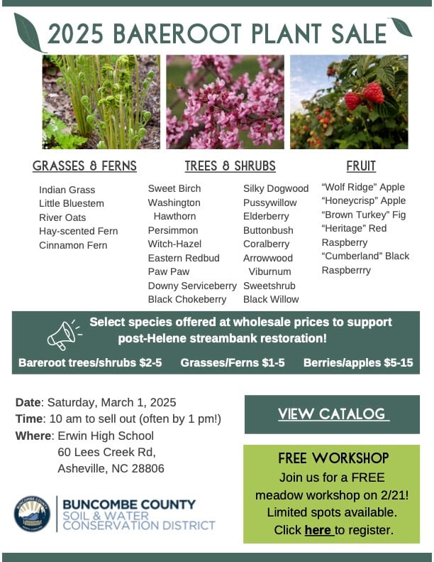 Buncombe County SWCD's 2025 Bareroot Plant Sale Flier