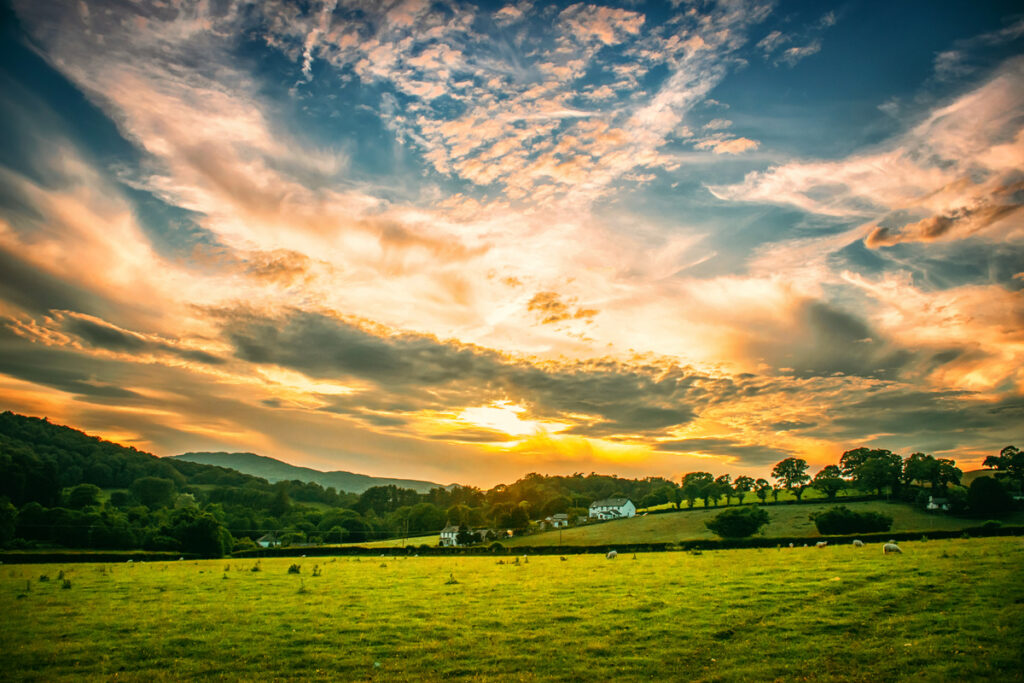 Building Back Farm Protection and Soil Health Webinar Series N.C. Cooperative Extension