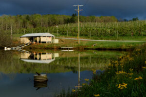 Mountain Horticultural Crops Research Station irrigation pond and orchard
